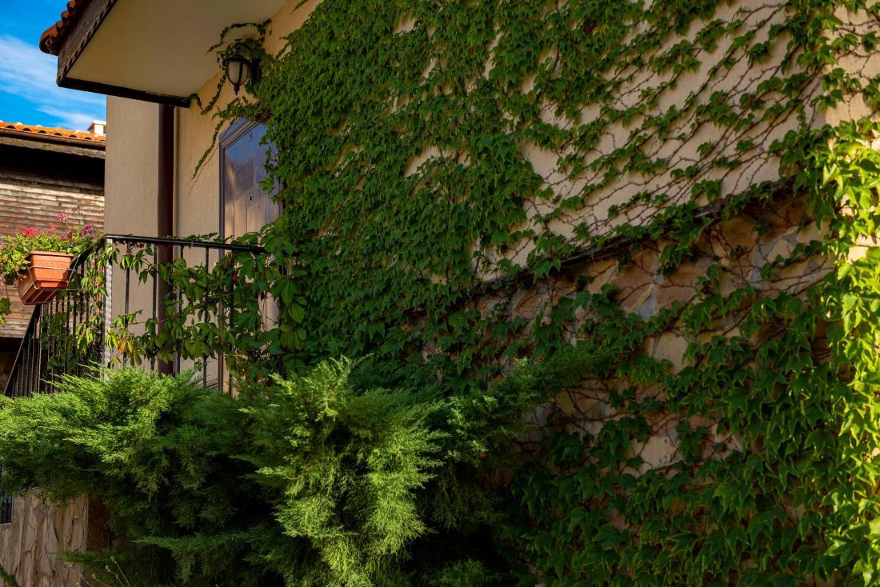 Menada Sunny Hill Villa Koșarița Exterior foto